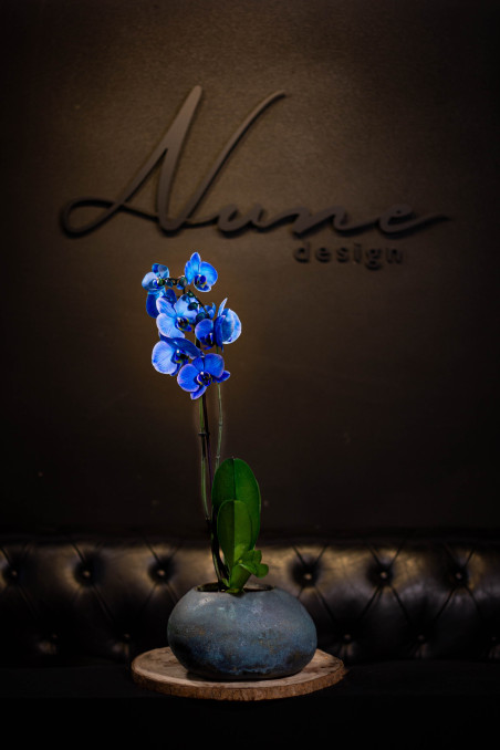 Orquídea AZUL