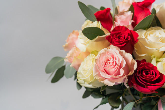 Ramo de ROSAS TRICOLOR 2