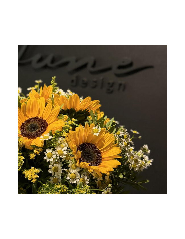Girasoles